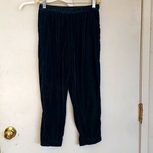 Gymboree Velvet Pants